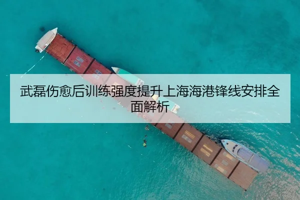 武磊伤愈后训练强度提升上海海港锋线安排全面解析