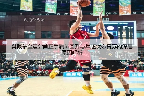 樊振东全运会前正手质量回升与乒超状态复苏的深层原因解析